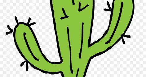 471x250 cactus drawing tumblr baby cute step saguaro blossom autocad