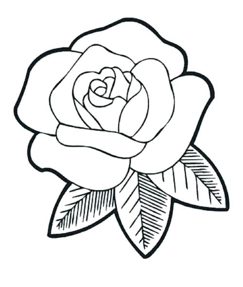 500x592 Compass Rose Coloring Sheet The Very Fragrant Roses Coloring