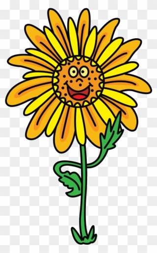 320x516 Download White Rose Png Clipart Clip Art Drawing Flower