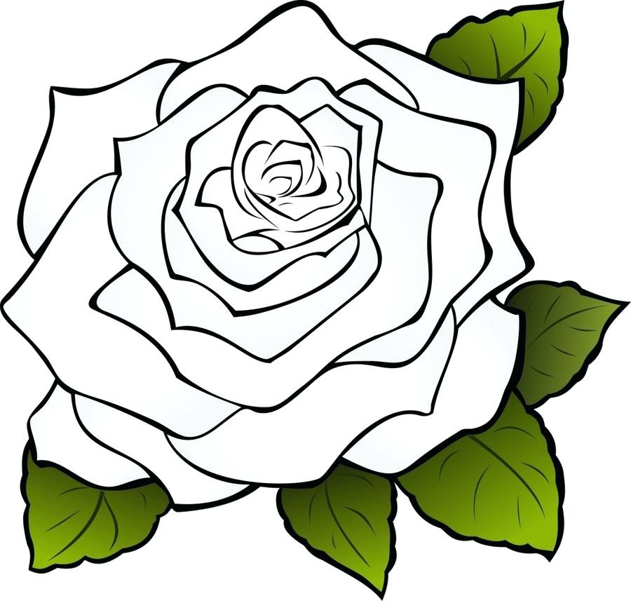 900x860 Coloring Book Rose Pizzafood Club