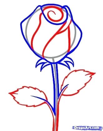 331x421 Draw Easy Rose