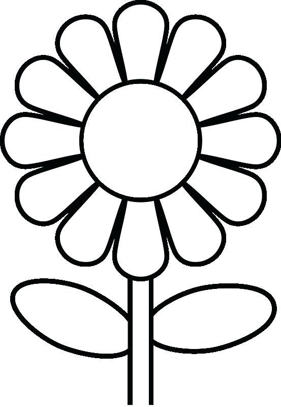 553x800 Coloring Pages Of A Rose Flower Images Coloring Pages Coloring