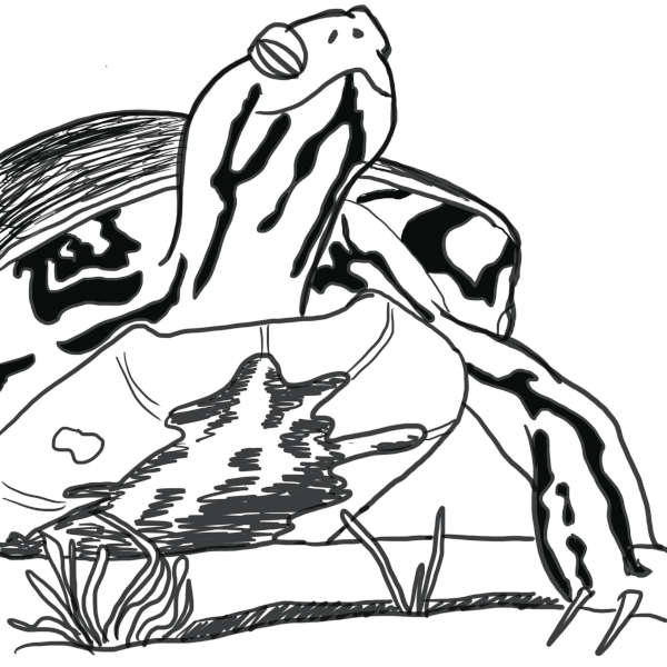 600x600 Opening Remarks For Universal Compassion