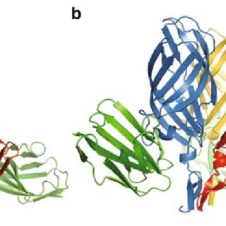 320x320 Crystal Structure Of The Jam A Complex
