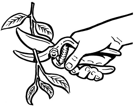 450x353 Backyard Composting Stopwaste