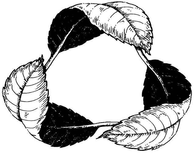 640x502 Dutchess County Home Composting Manual