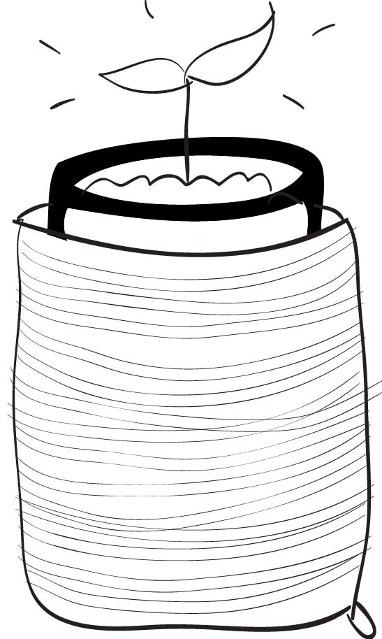 547x914 How To Garden In A Bottle