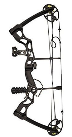 231x437 Ranking The Best Compound Bows