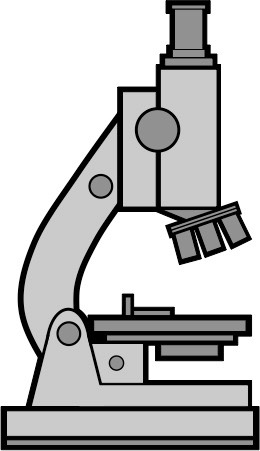 Compound Light Microscope Drawing | Free download on ClipArtMag