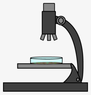 300x315 Microscope Png Images Png Cliparts Free Download On Seekpng