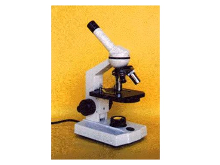 728x546 Parts And Functions Of A Compound Microscope