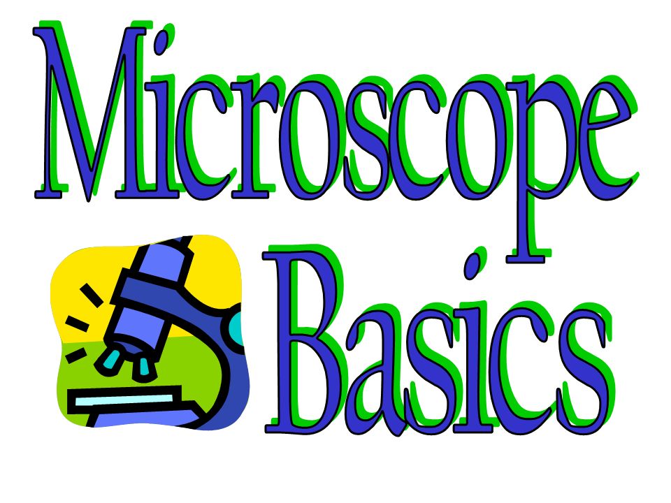 960x720 Types Of Microscopes Compound Light Microscope The Models Found