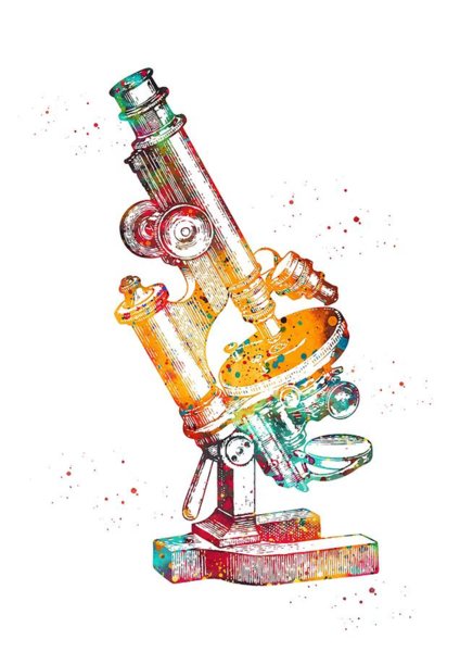 424x600 Compound Microscope Art