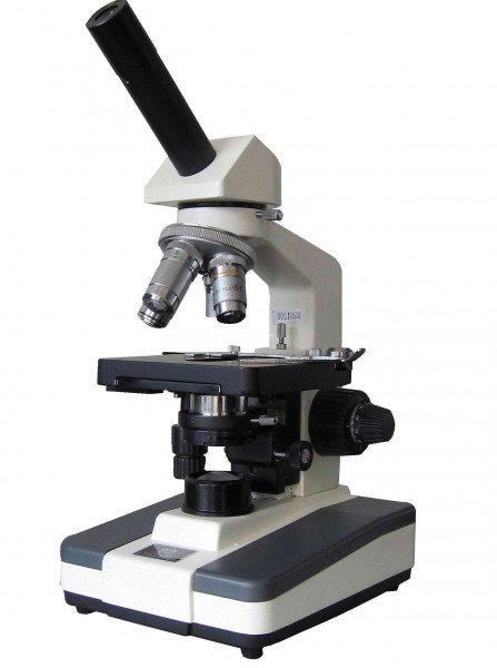 447x600 Compound Microscope Drawing