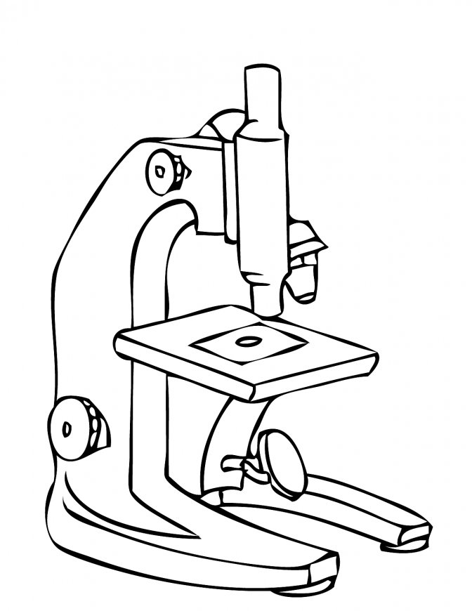 Compound Microscope Drawing | Free download on ClipArtMag