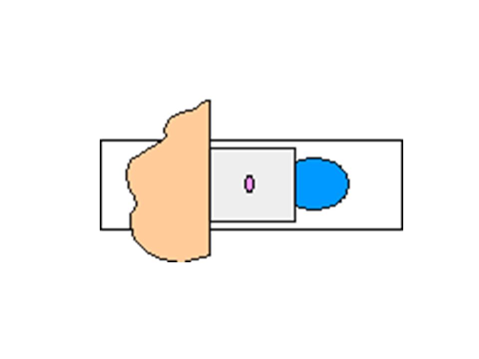960x720 Parts And Functions Of A Compound Microscope