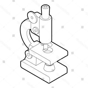 300x300 worksheet parts of a microscope works on compound microscope drawi