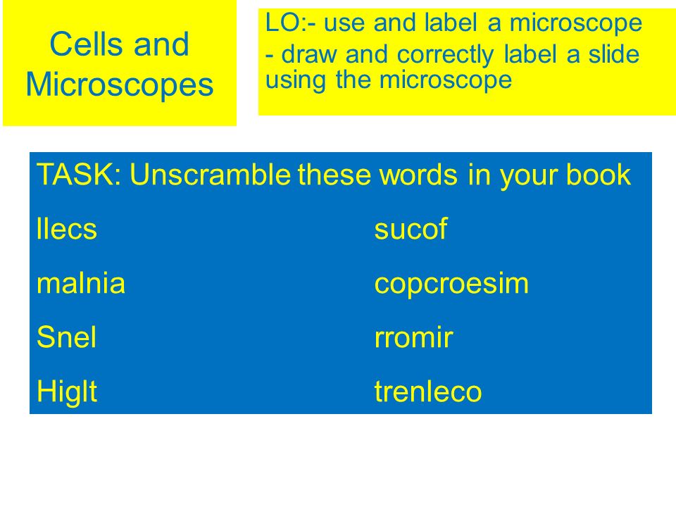 960x720 Cells And Microscopes Lo Use And Label A Microscope