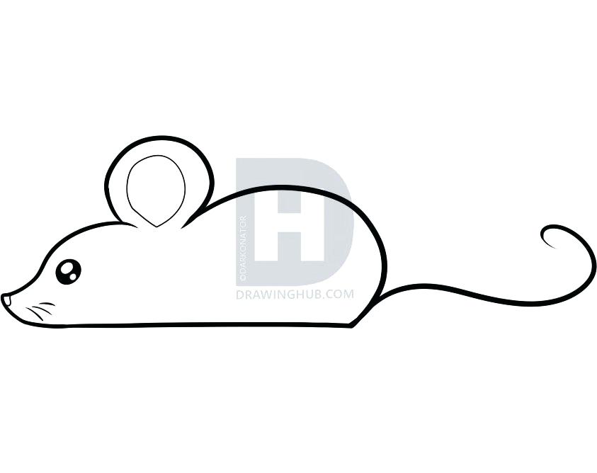 843x668 How To Draw Amouse Draw A Big Computer Mouse