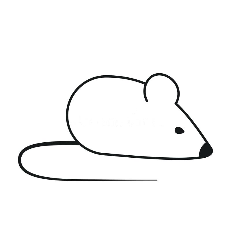 800x800 Outline Of A Mouse Mickey Outline Computer Mouse Drawing
