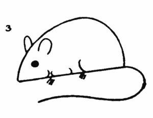 300x232 How To Draw A Mice