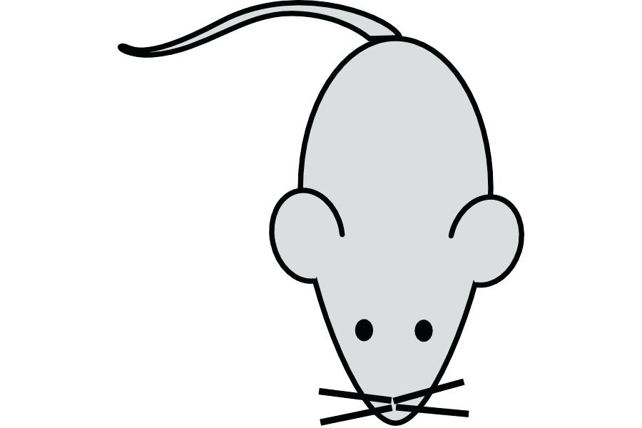 900x600 Cartoon Mouse Image Screenshoot