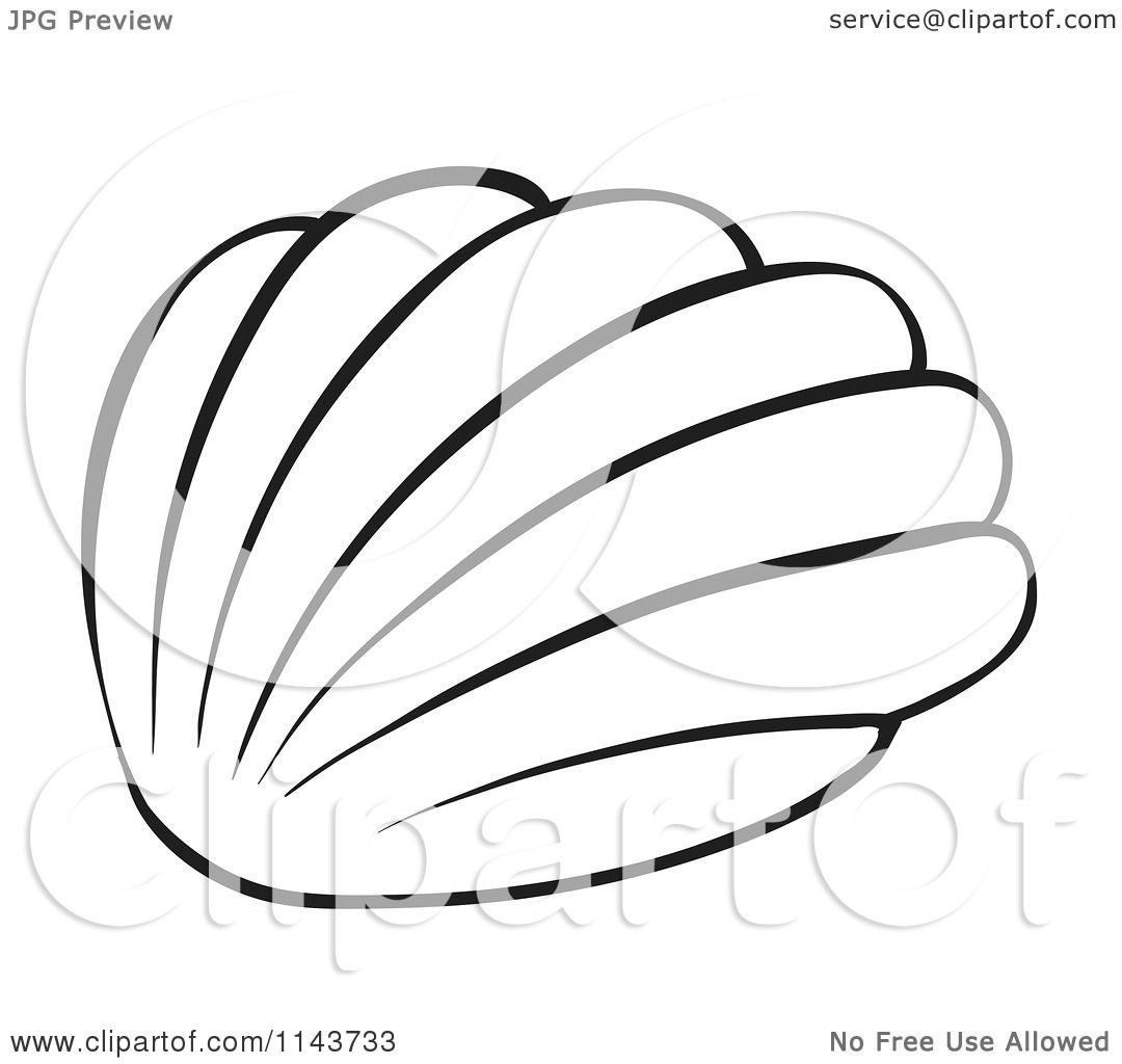 1080x1024 Conch Clipart Clip Art Images