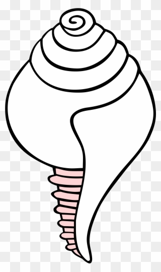 320x540 Free Png Conch Shell Clip Art Download