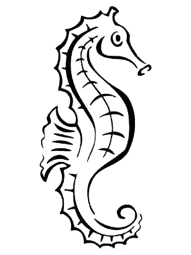 750x1000 Seahorse Coloring Pictures Seahorse Coloring Book Child Drawing