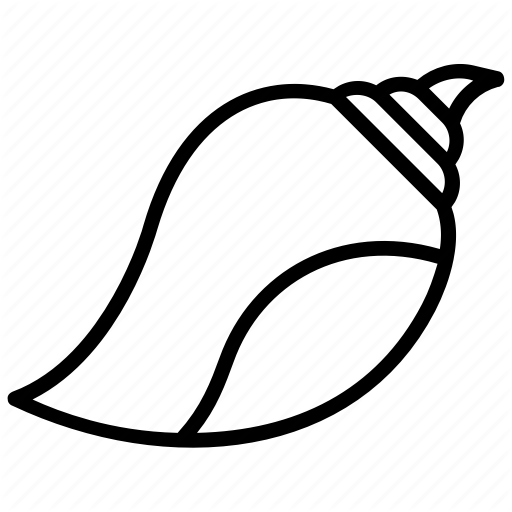 512x512 Clam Vector Conch Transparent Png Clipart Free Download