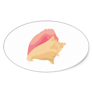 307x307 Conch Shells Stickers Zazzle