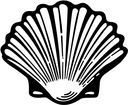 417x343 fresh conch shell clip art how to draw a conch shell