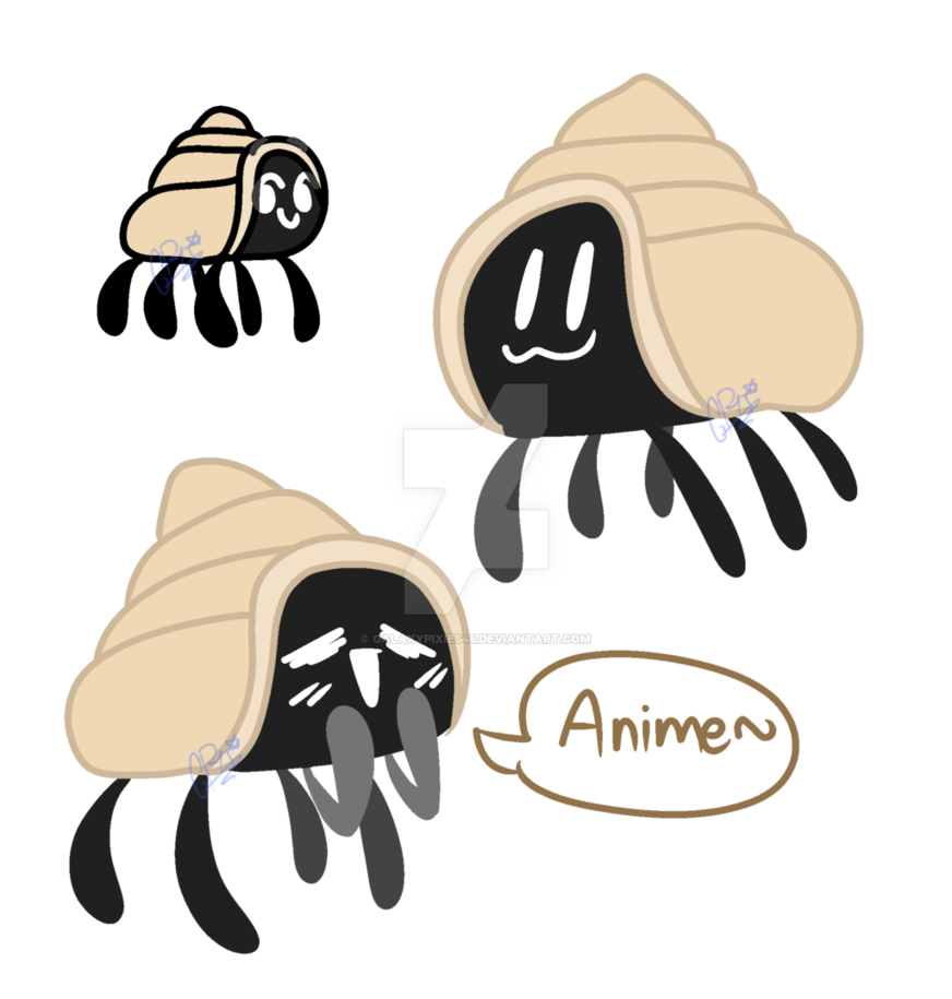 872x915 At Magic Conch Shell Who Like Memes