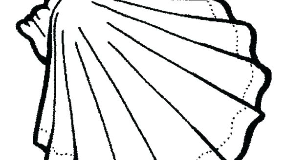 585x329 Easy Seashell Coloring Pages Clam