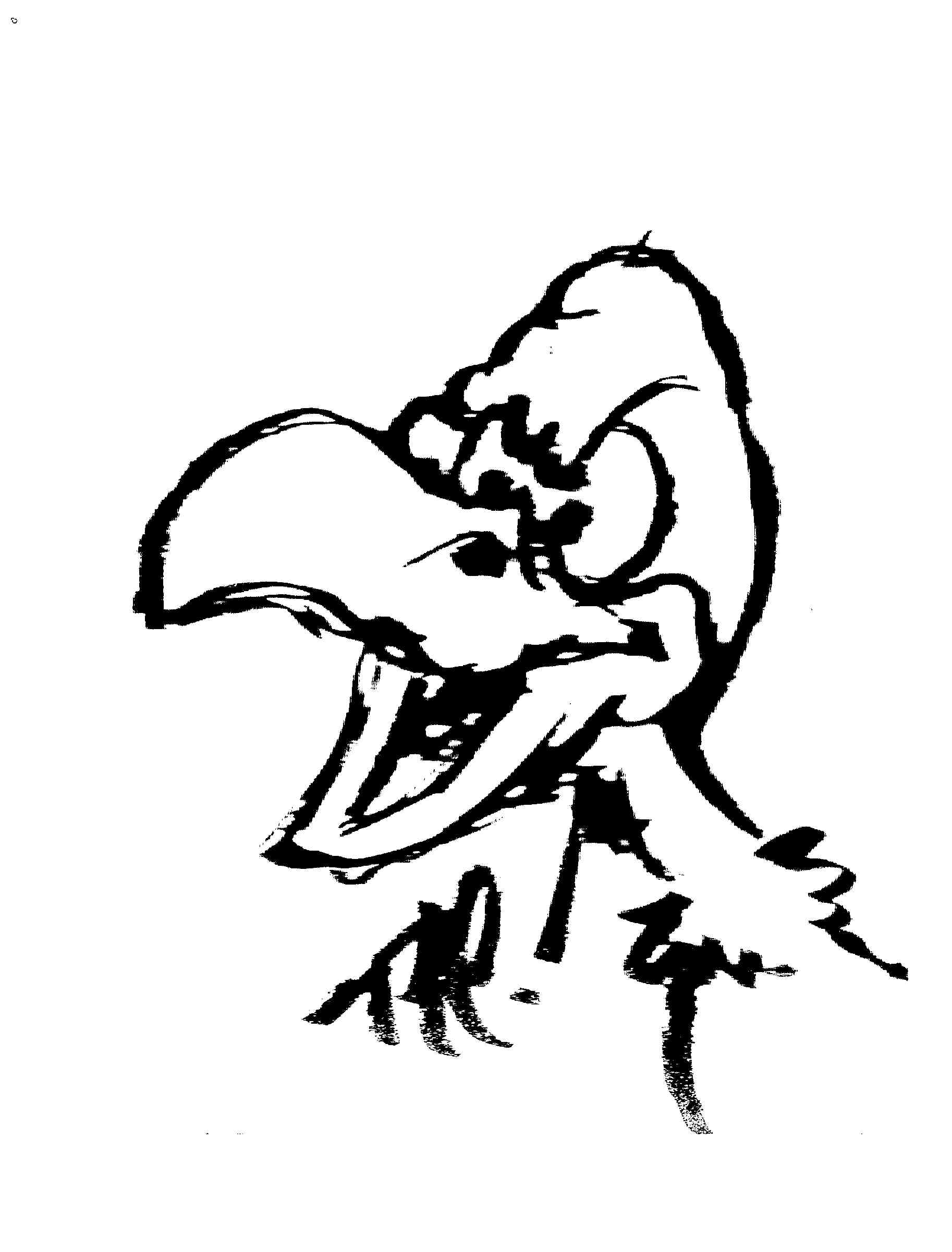 1826x2402 Condor Certes