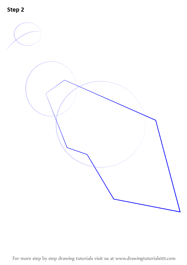 597x844 Learn How To Draw An Andean Condor