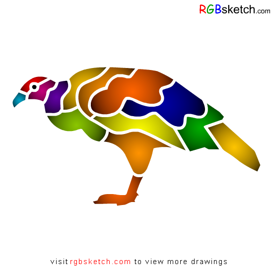 550x550 How To Draw Andean Condor