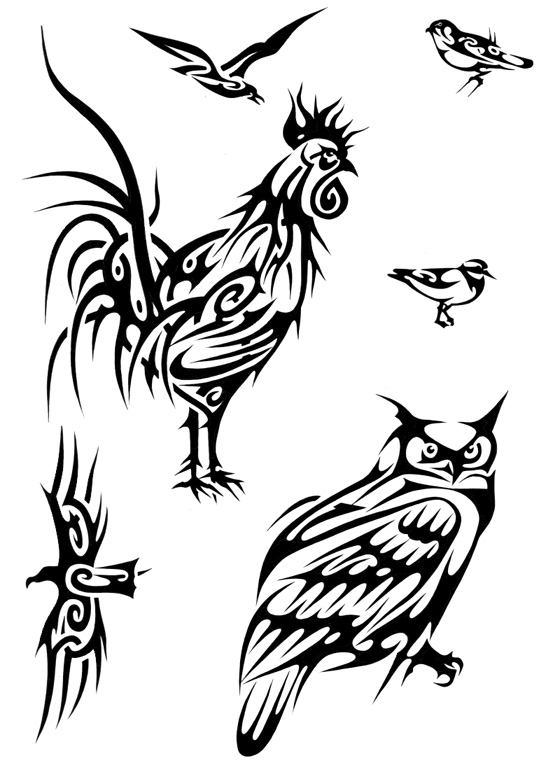 553x765 The World's Best Photos Of Condor And Design