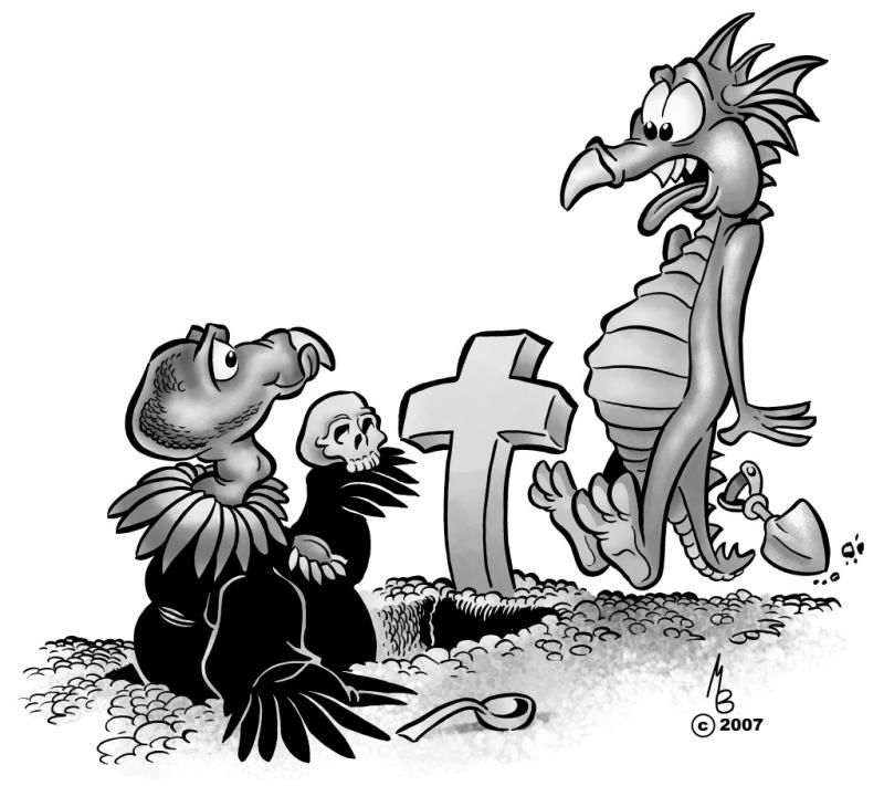 800x711 Condor In Grave Bw