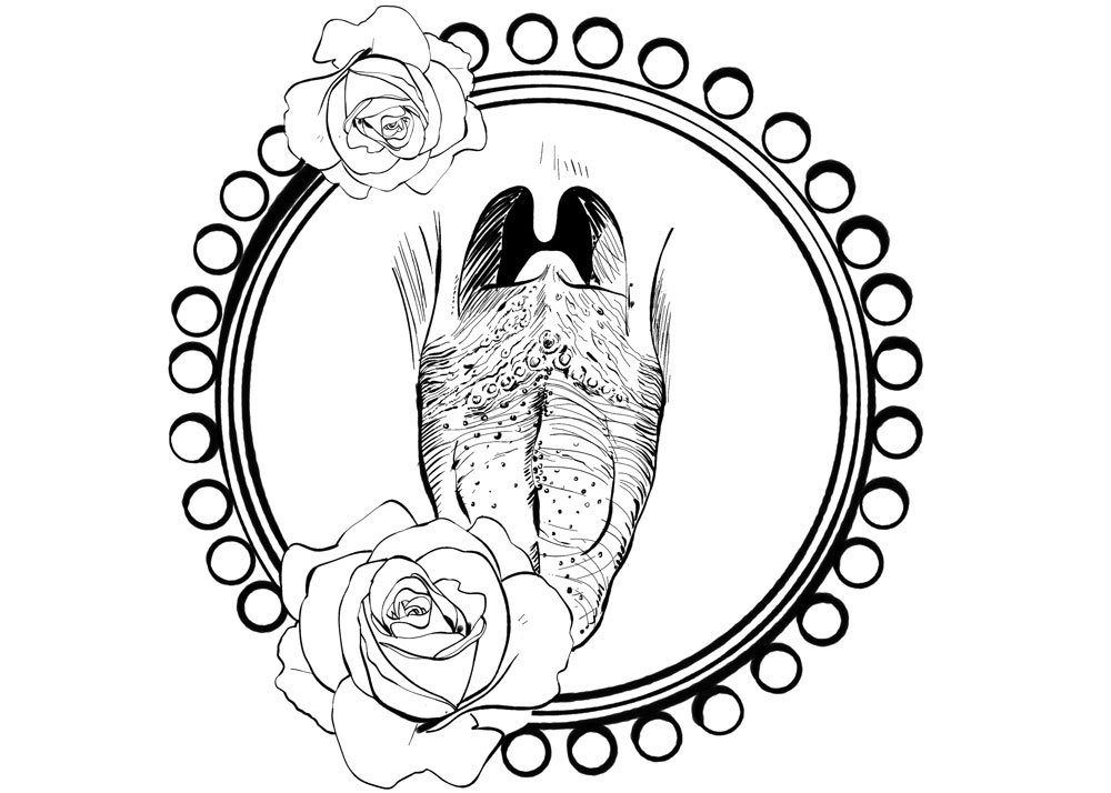 1000x714 Conduction Study