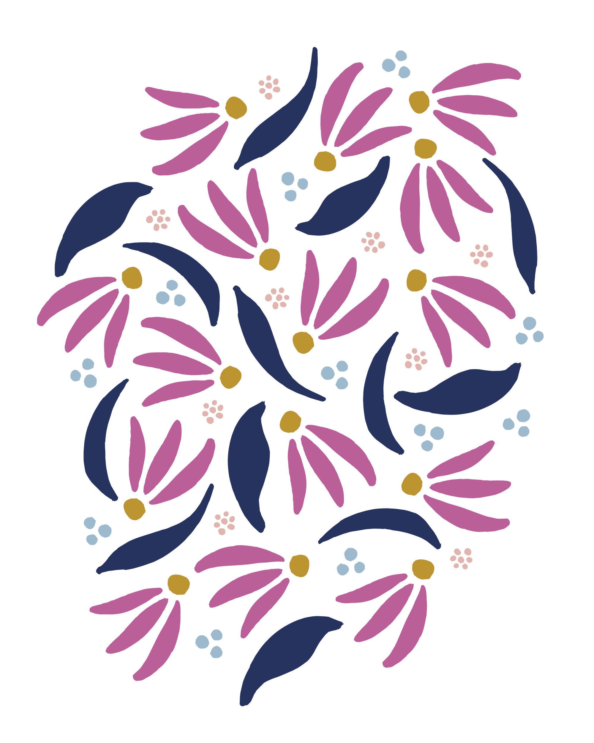 2000x2500 Coneflower Illustration Etsy