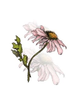 236x333 best card making world images cardmaking, making cards, cards