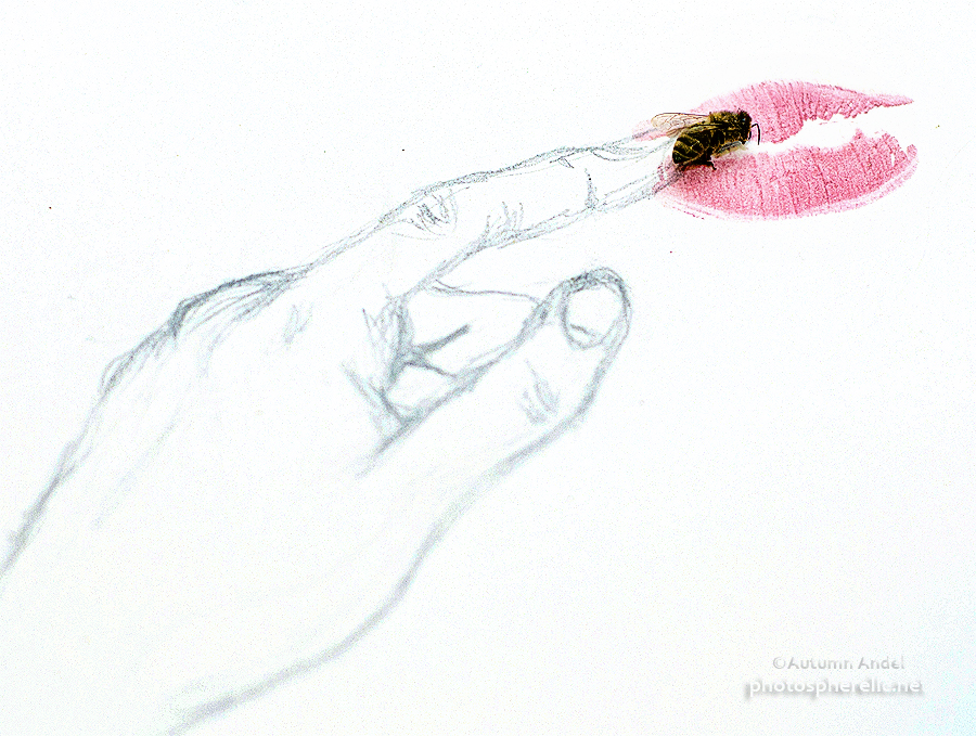 900x679 bee my first i drew my hand, then i kissed it