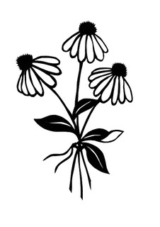 226x320 coneflowers papercut foxes ridge