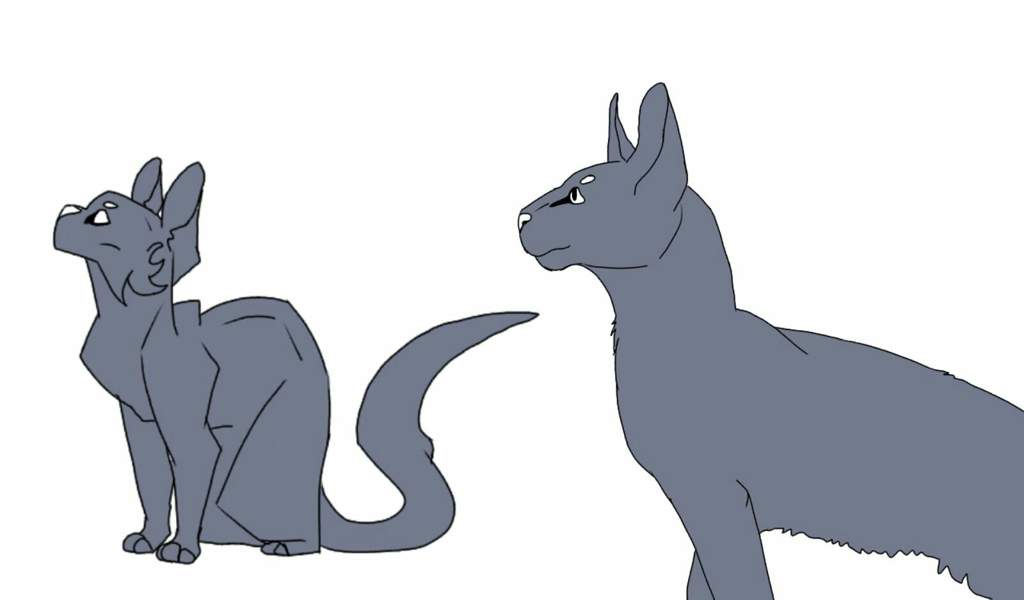 1024x600 Even Minor Improvements Are Big Ones Warriors Amino