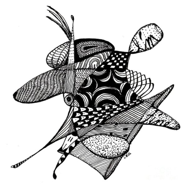 597x600 Confused Drawings