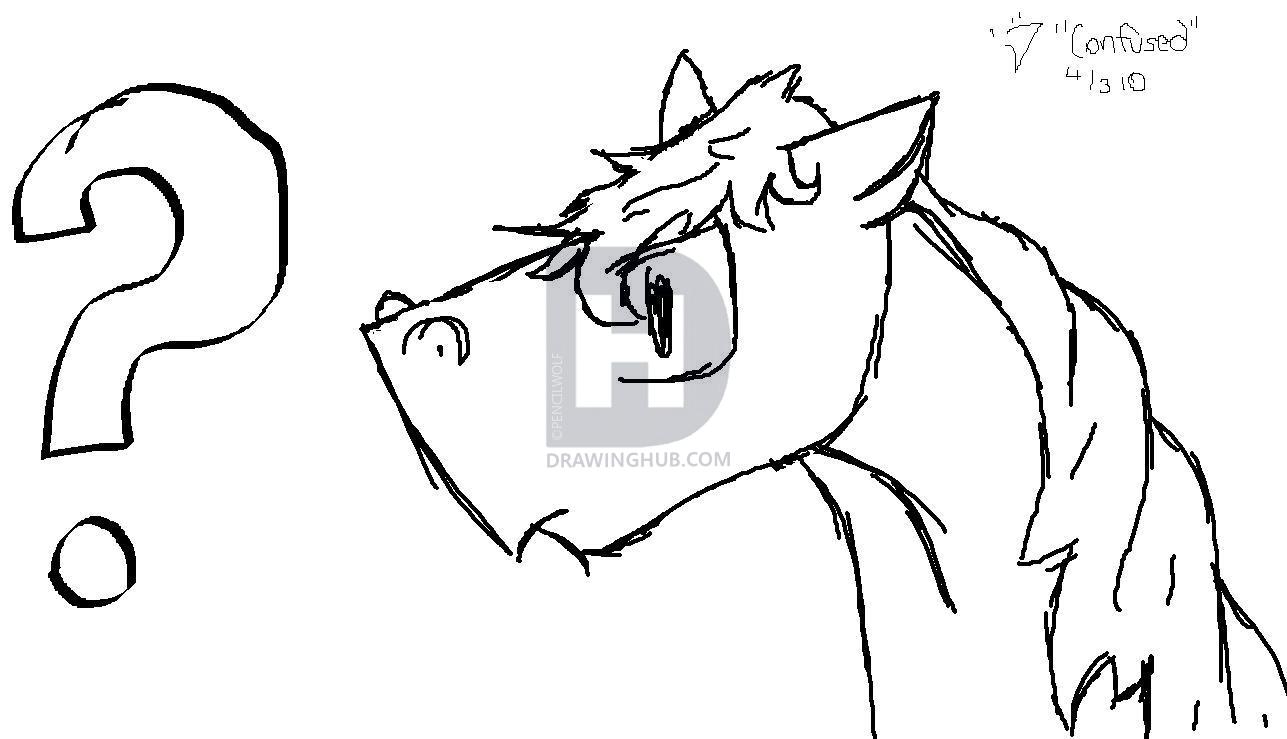 1287x739 Confused Horse Drawing