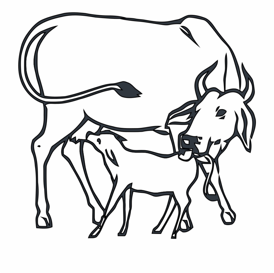 920x916 Drawing Cow Child