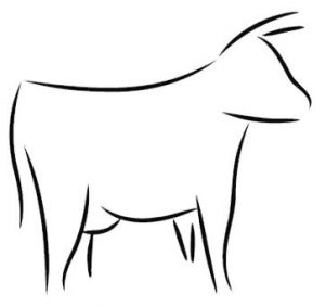 300x283 Ukraine Xikhth Middle European Buiatrics Congress World