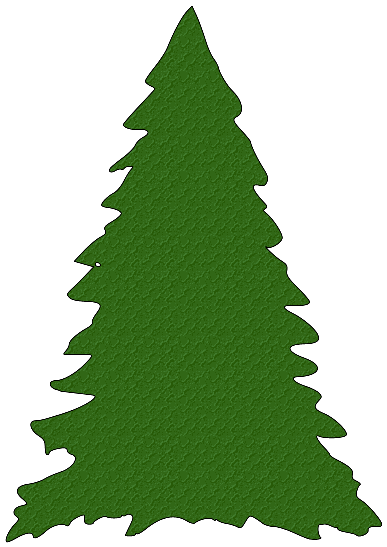 Conifer Drawing